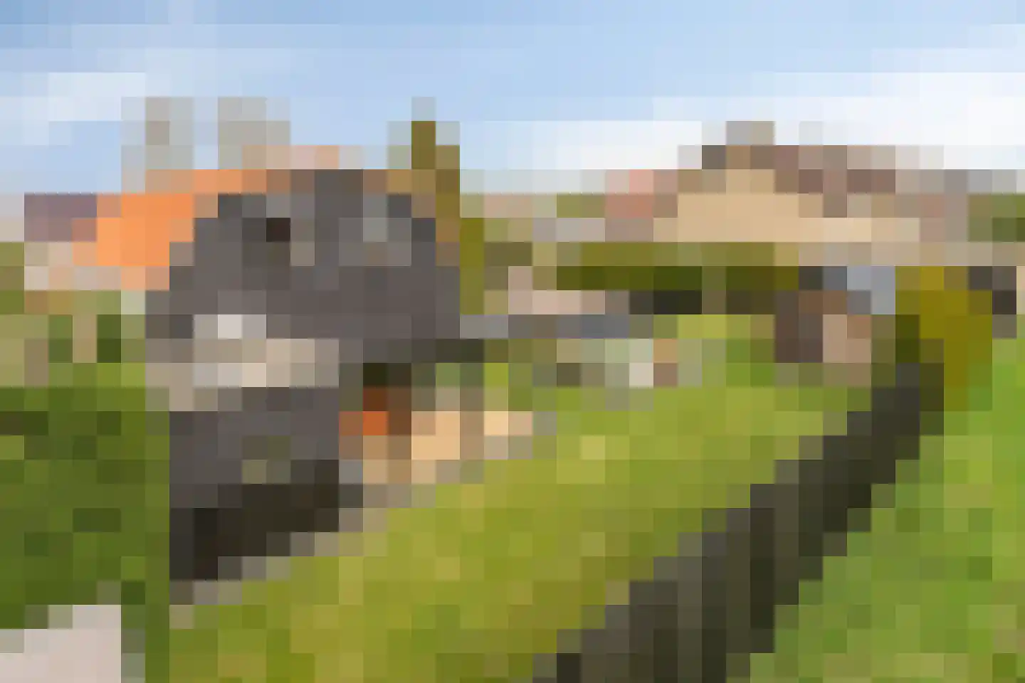 Molenweg 15 Oudenhoorn thumbnail 33