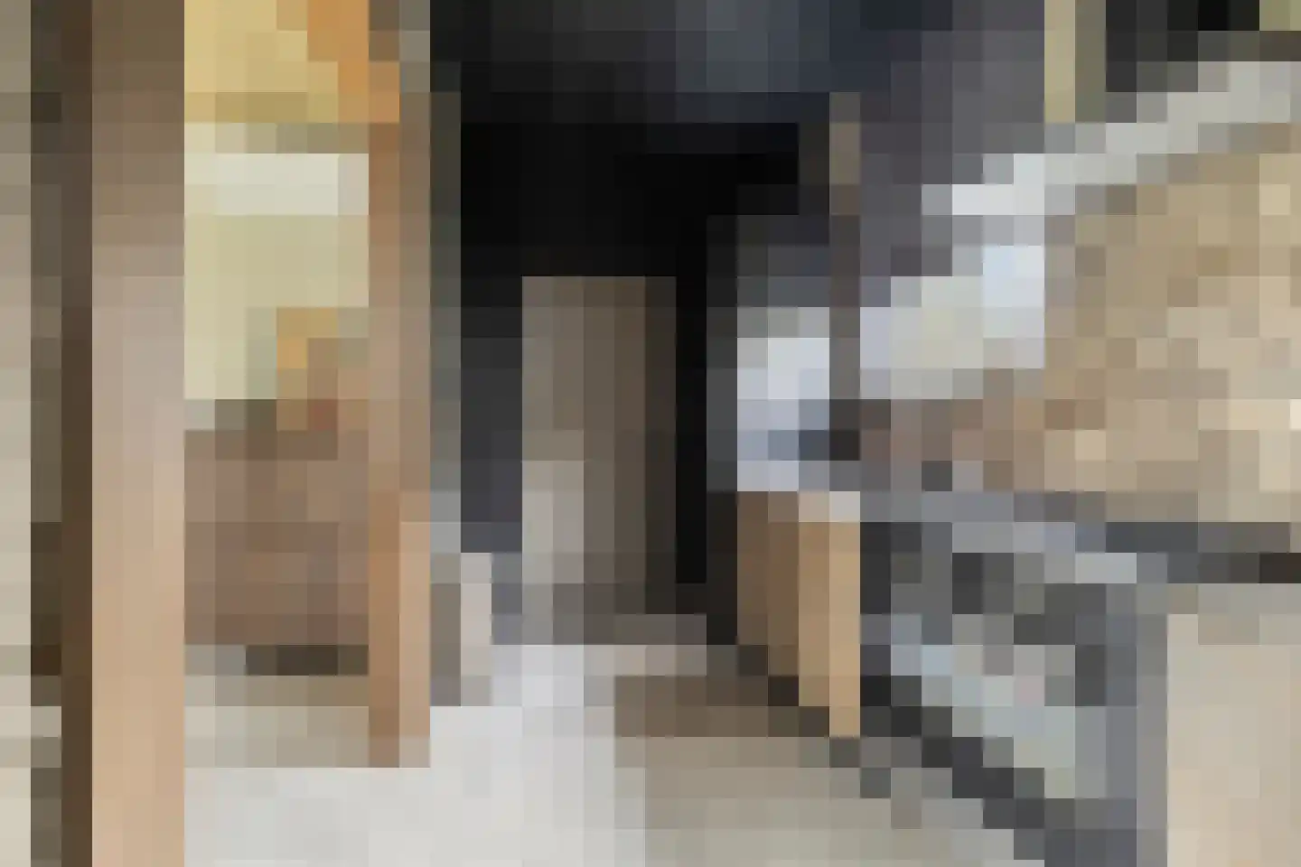 Molenweg 15 Oudenhoorn thumbnail 4