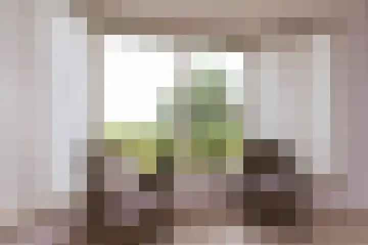 Molenweg 15 Wervershoof thumbnail 11
