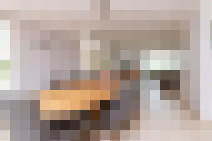 Molenweg 15 Wervershoof thumbnail 13