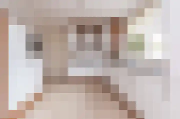 Molenweg 15 Wervershoof thumbnail 15