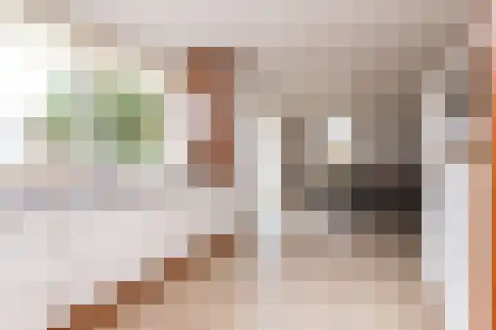 Molenweg 15 Wervershoof thumbnail 16