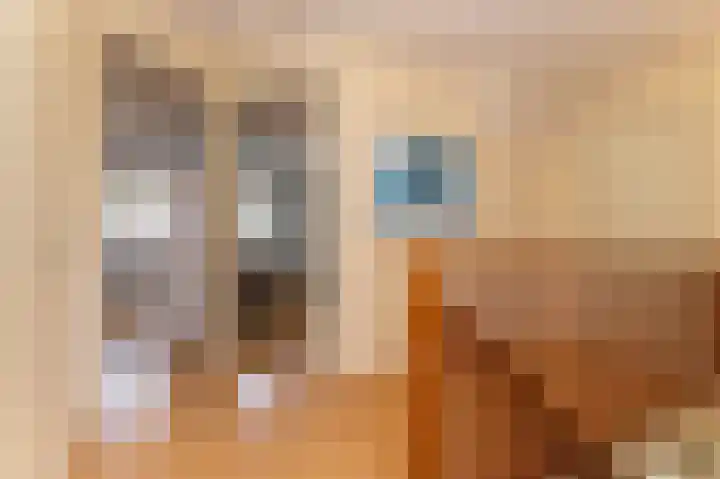 Molenweg 15 Wervershoof thumbnail 26