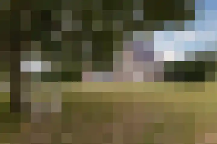Molenweg 15 Wervershoof thumbnail 39