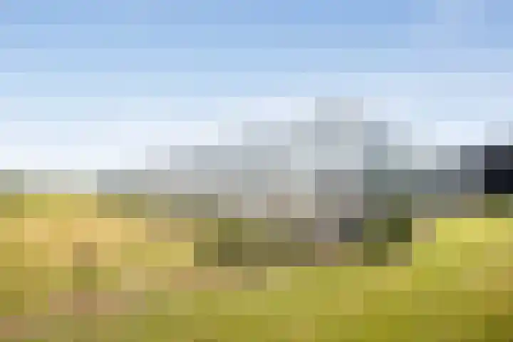 Molenweg 15 Wervershoof thumbnail 4