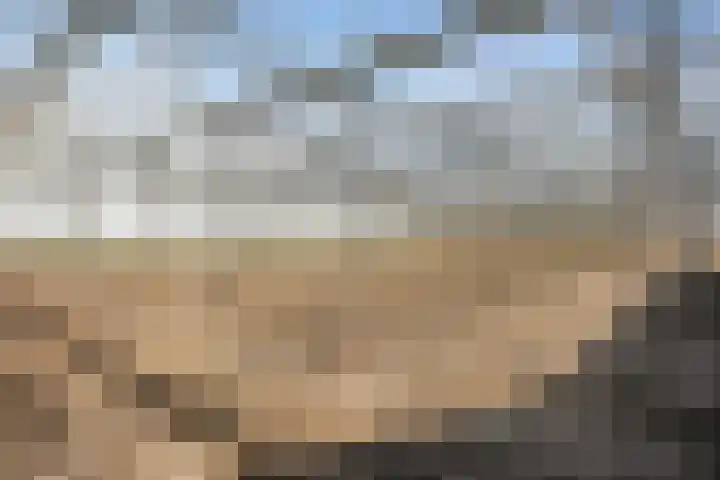 Molenweg 15 Wervershoof thumbnail 41
