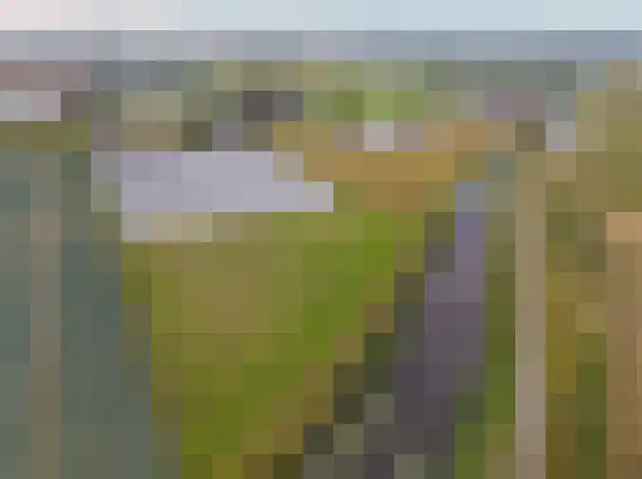 Molenweg 15 Wervershoof thumbnail 53