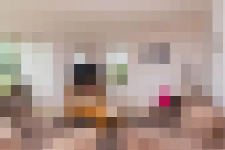 Molenweg 15 Wervershoof thumbnail 9