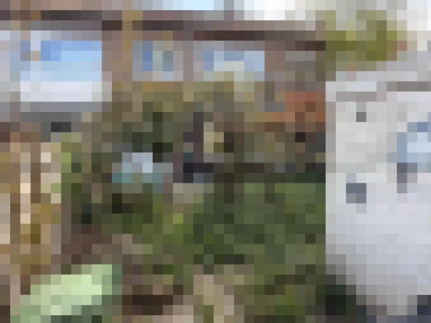 Molenweg 153 Rozenburg thumbnail 19