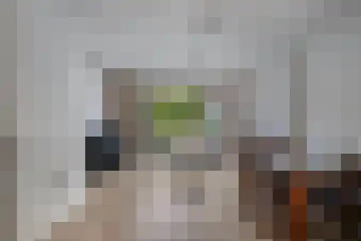 Molenweg 155 Zwolle thumbnail 10