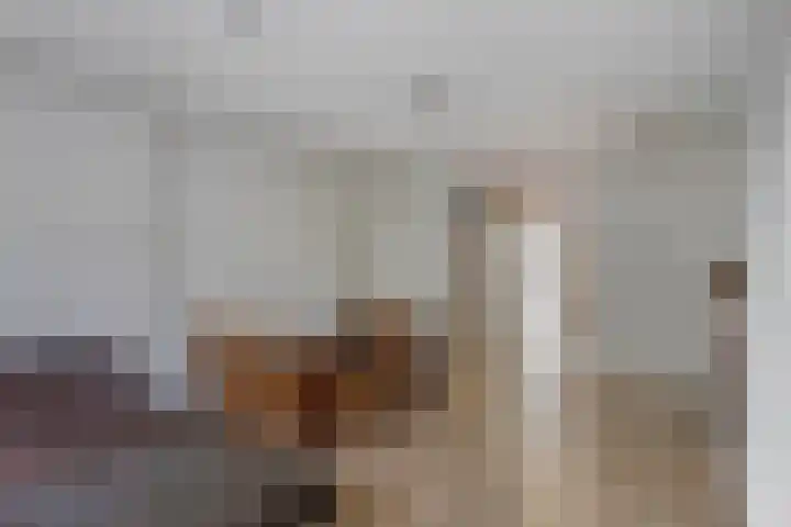Molenweg 155 Zwolle thumbnail 11