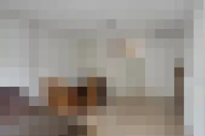Molenweg 155 Zwolle thumbnail 12