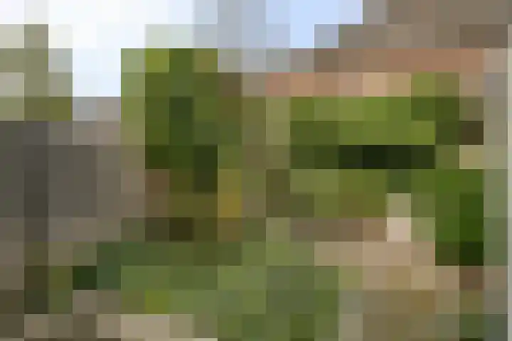Molenweg 155 Zwolle thumbnail 13