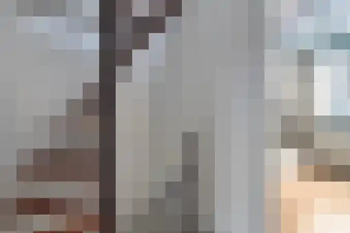 Molenweg 155 Zwolle thumbnail 16