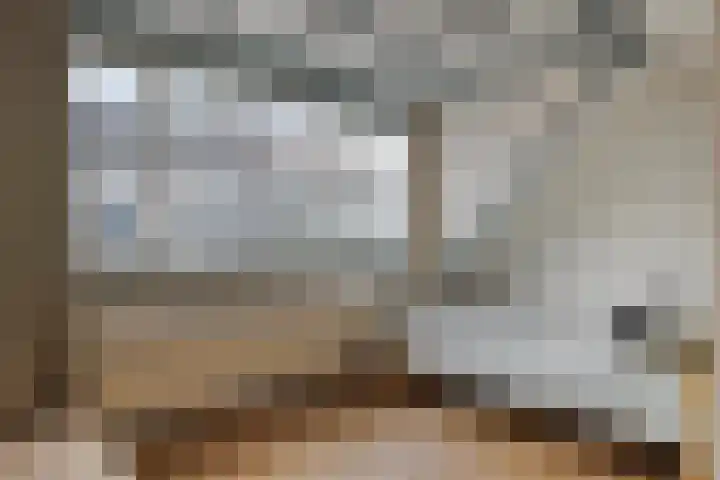 Molenweg 155 Zwolle thumbnail 17