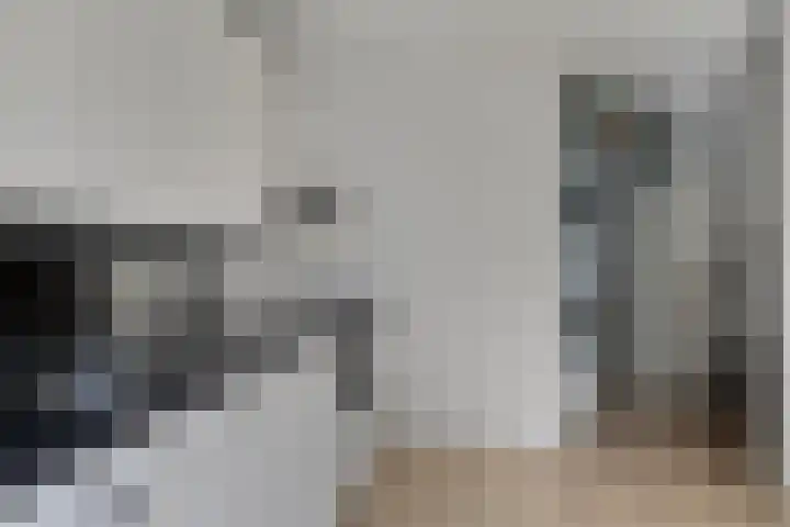 Molenweg 155 Zwolle thumbnail 7