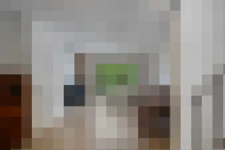 Molenweg 155 Zwolle thumbnail 9