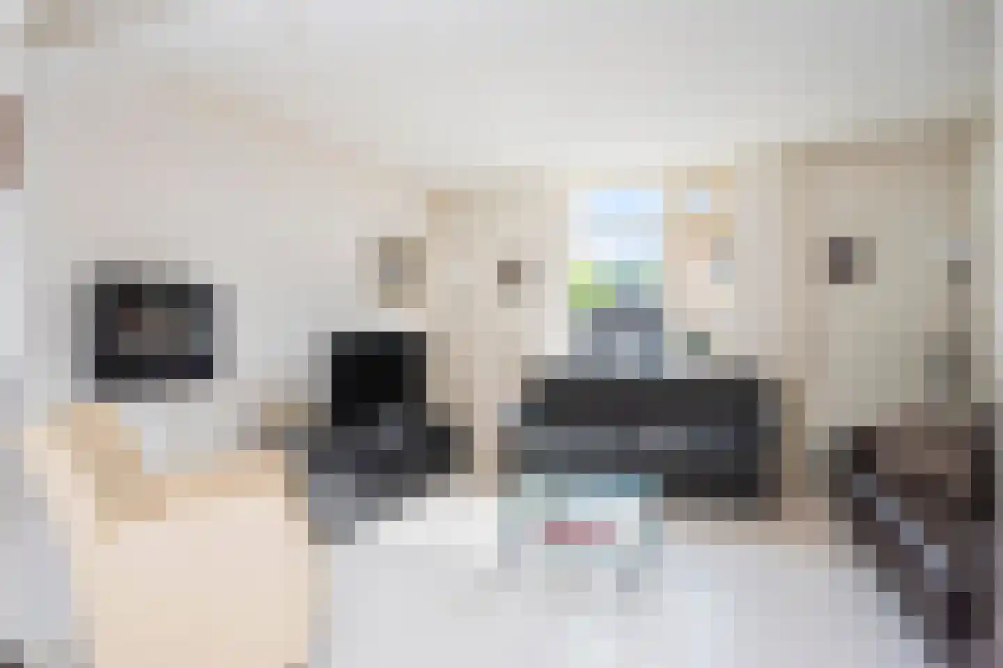 Molenweg 16 Eygelshoven thumbnail 4