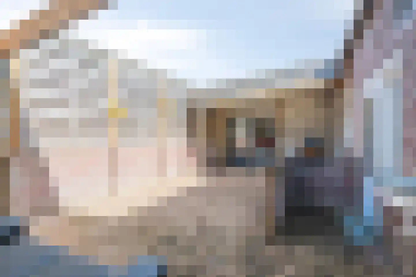 Molenweg 16 Eygelshoven thumbnail 49
