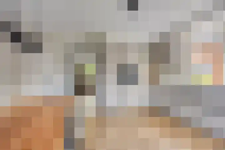 Molenweg 16 Klarenbeek thumbnail 10