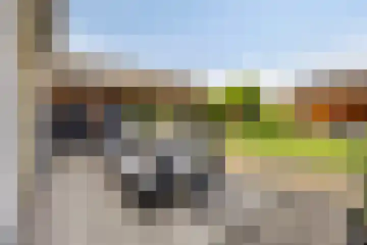 Molenweg 16 Klarenbeek thumbnail 14