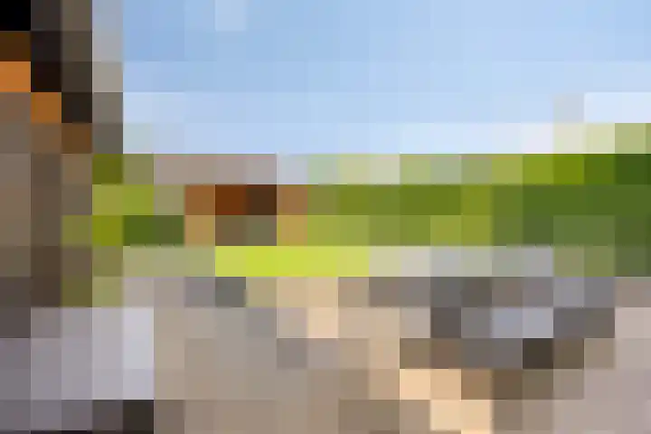 Molenweg 16 Klarenbeek thumbnail 15