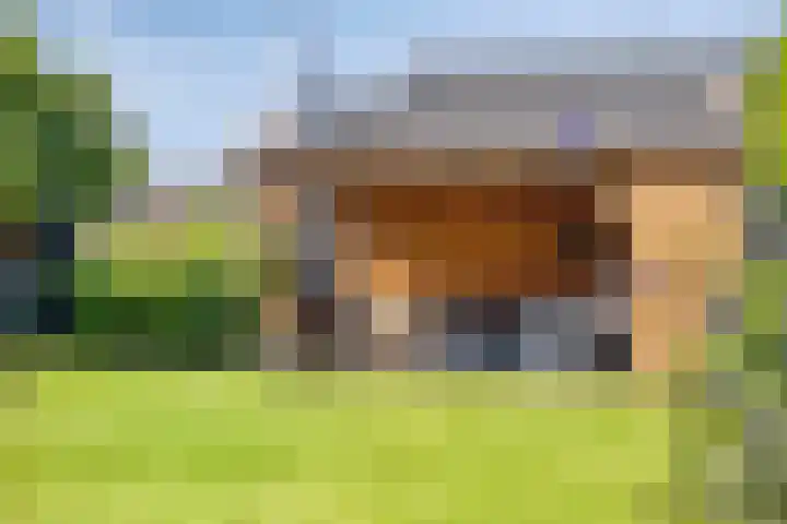 Molenweg 16 Klarenbeek thumbnail 16