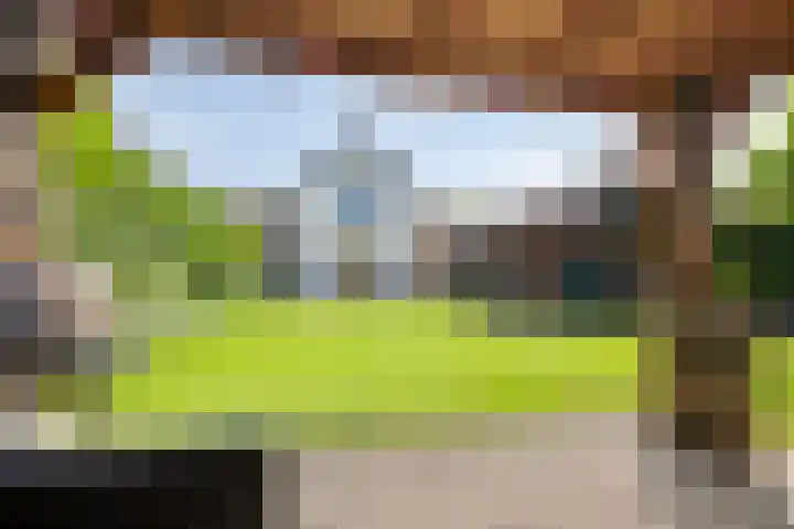 Molenweg 16 Klarenbeek thumbnail 17