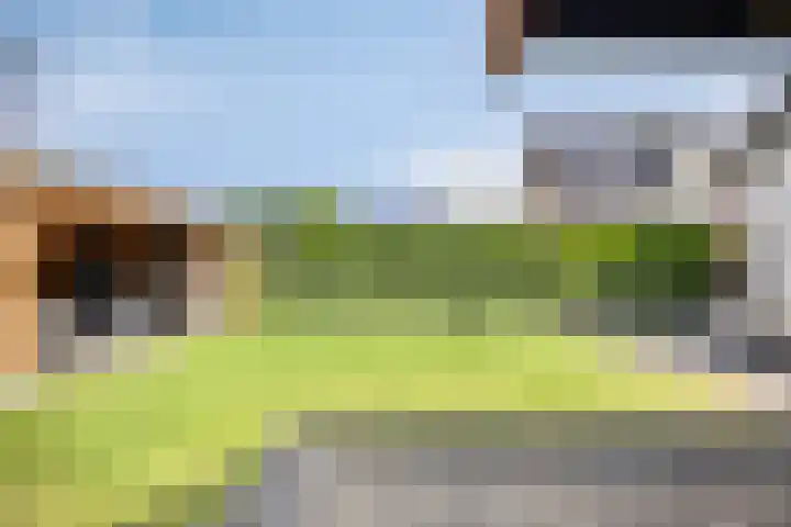 Molenweg 16 Klarenbeek thumbnail 18