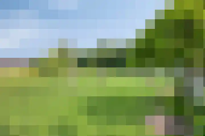Molenweg 16 Klarenbeek thumbnail 30