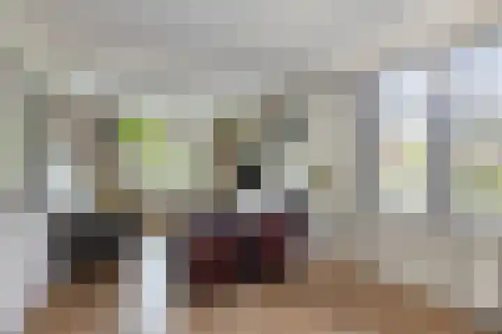 Molenweg 16 Klarenbeek thumbnail 7