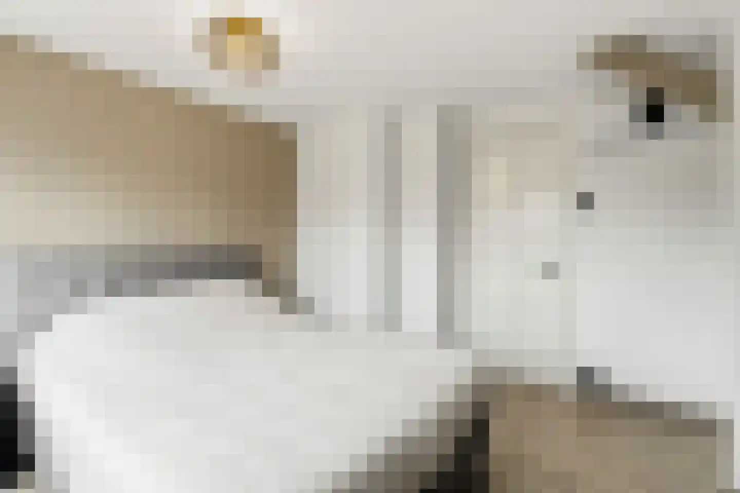 Molenweg 16 Renkum thumbnail 20