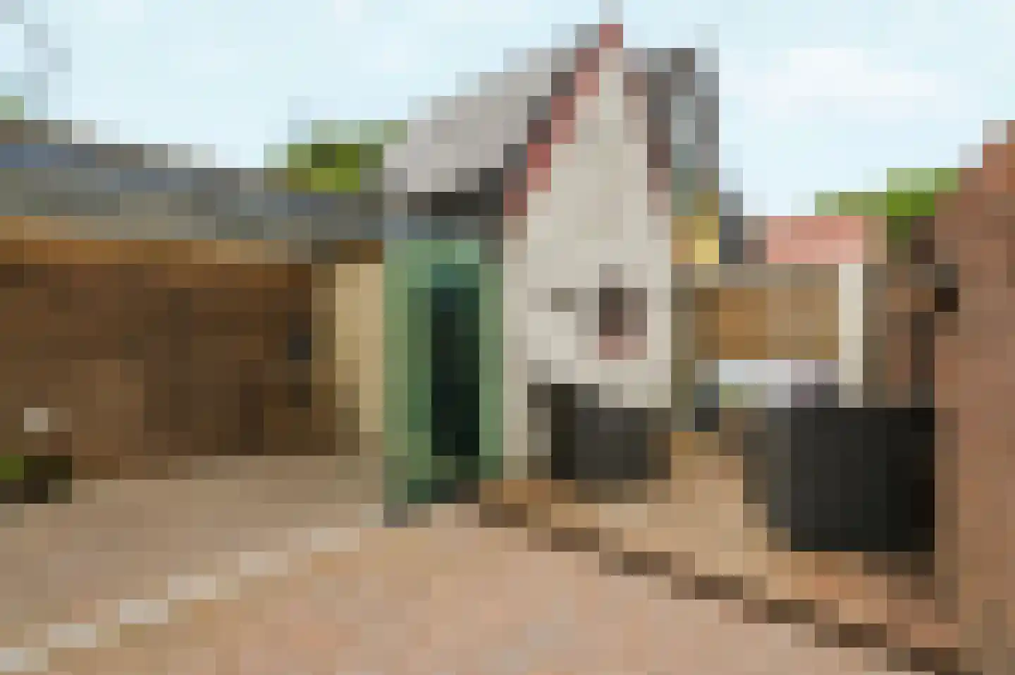 Molenweg 16 Renkum thumbnail 34