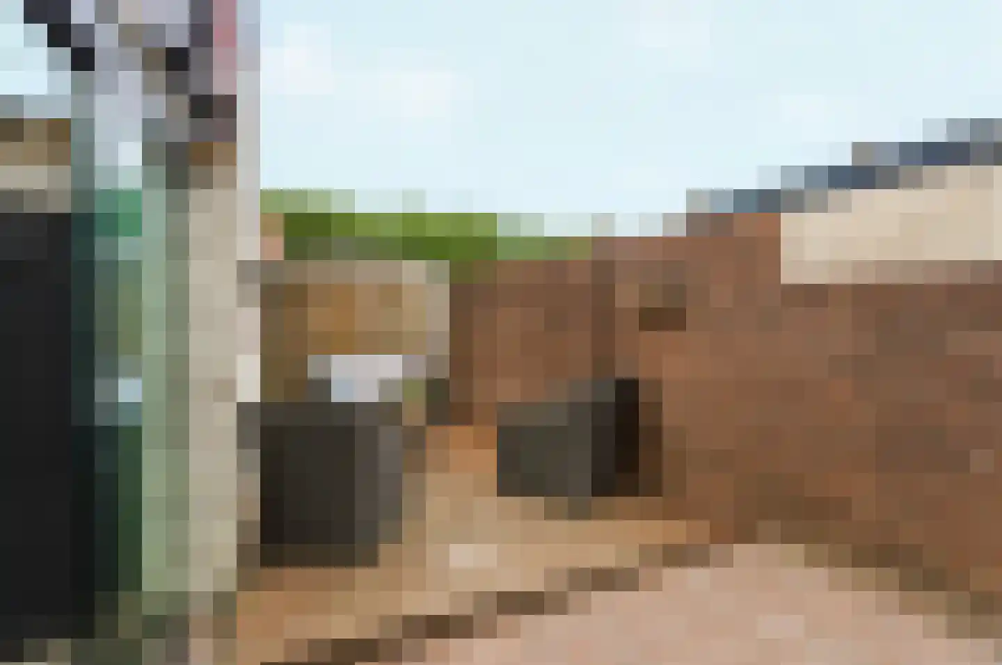 Molenweg 16 Renkum thumbnail 35