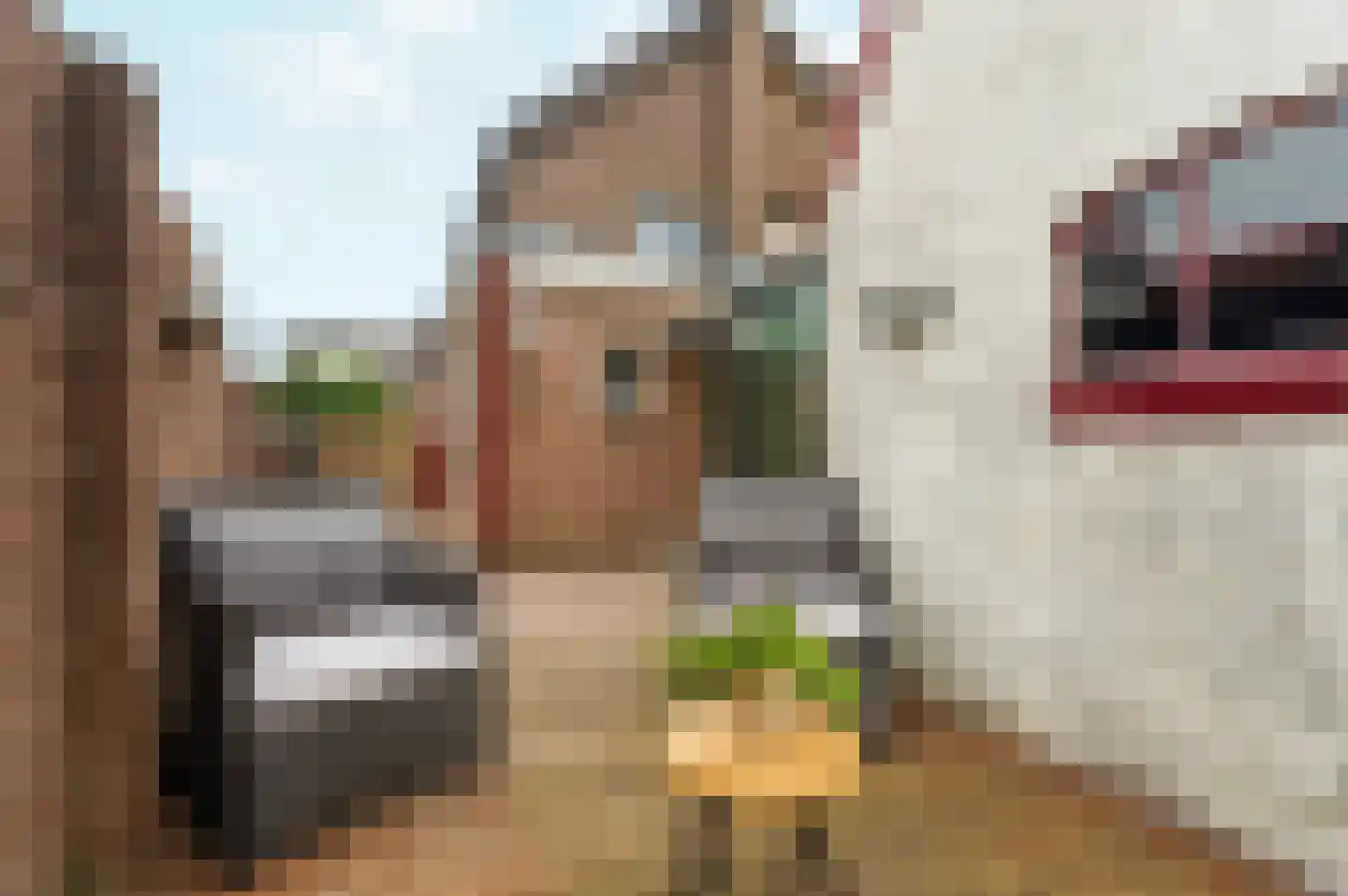 Molenweg 16 Renkum thumbnail 36