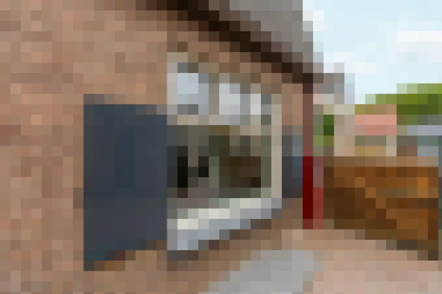 Molenweg 16 Renkum thumbnail 39