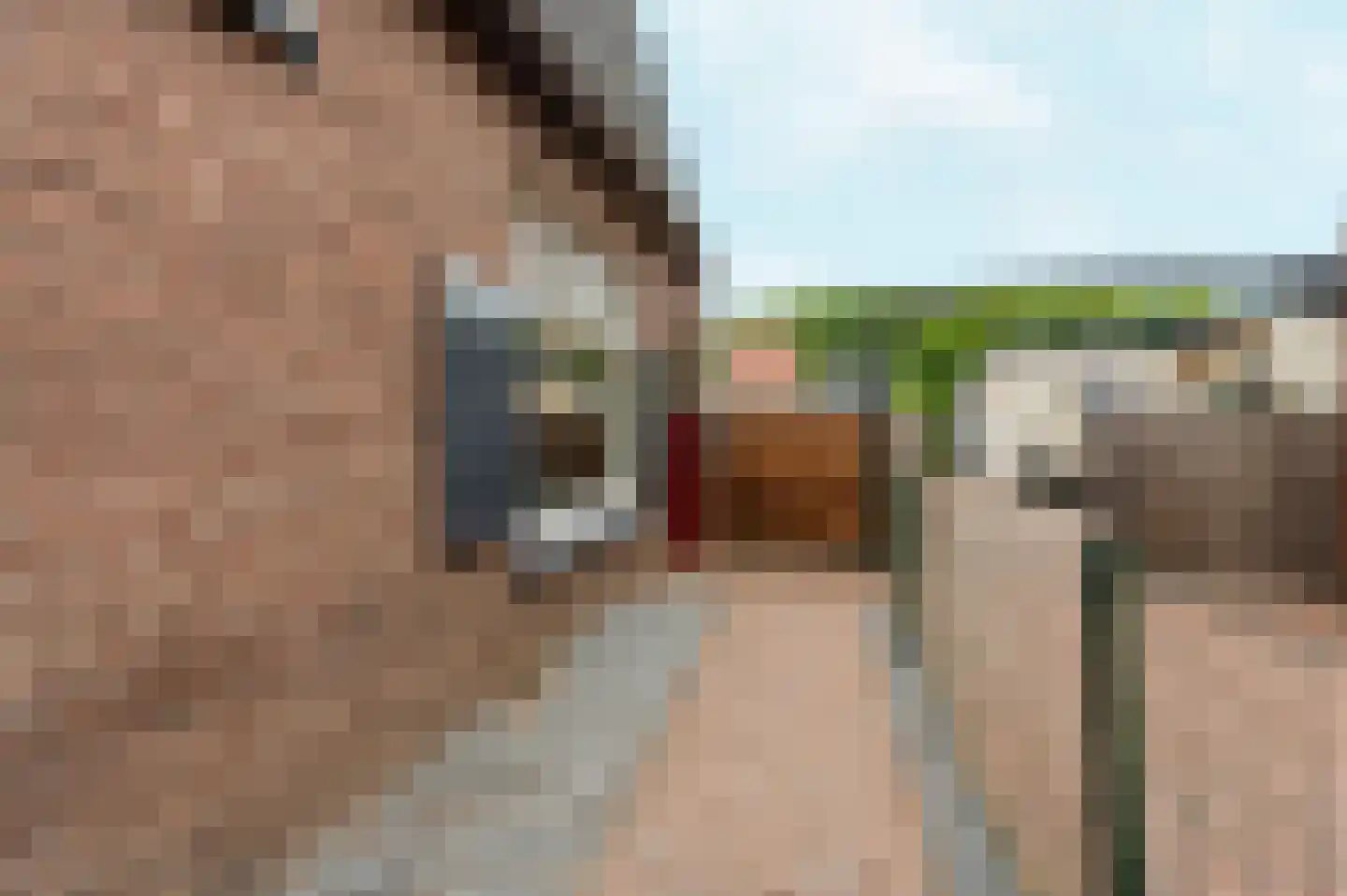 Molenweg 16 Renkum thumbnail 40