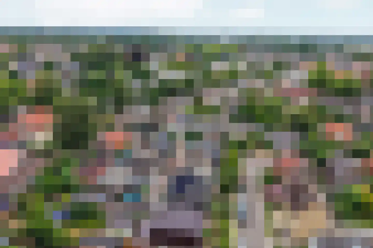 Molenweg 16 Renkum thumbnail 53
