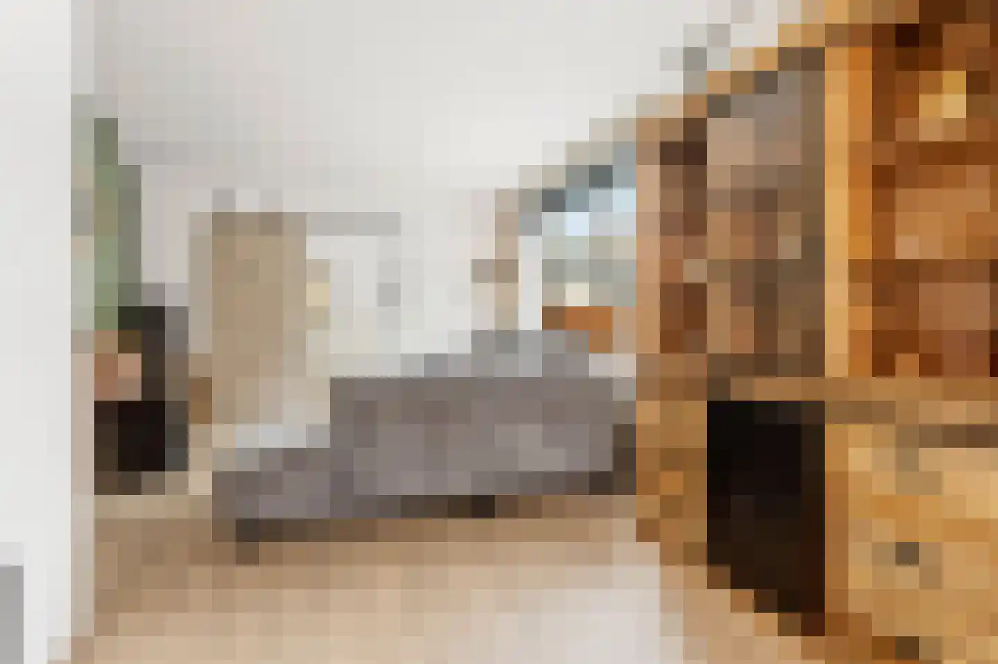 Molenweg 16 Renkum thumbnail 6