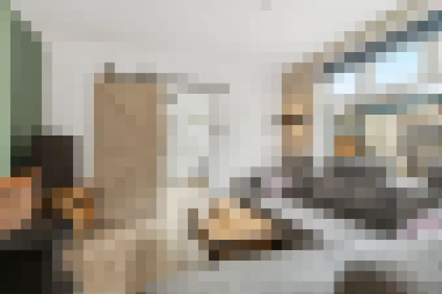 Molenweg 16 Renkum thumbnail 7