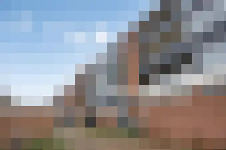 Molenweg 167 Nijmegen thumbnail 33