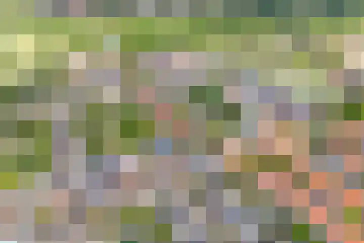 Molenweg 177 Zwolle thumbnail 43