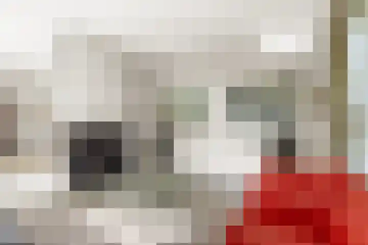 Molenweg 18 Abcoude thumbnail 10