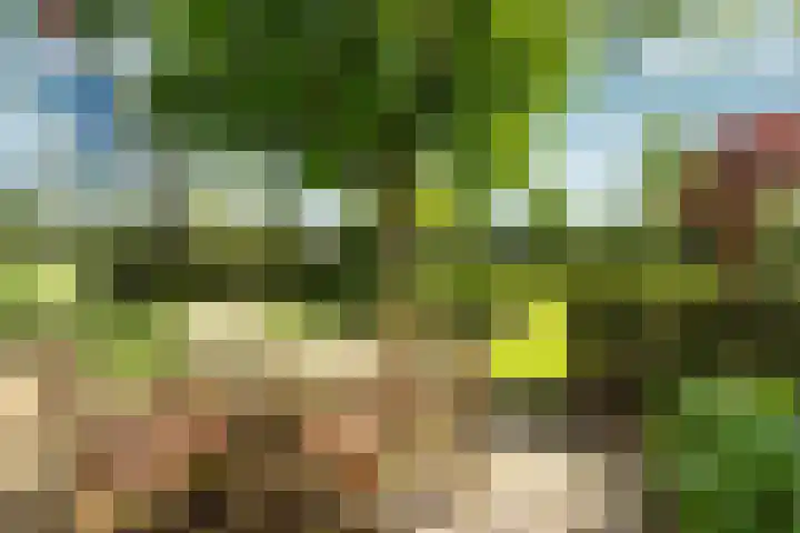 Molenweg 18 Abcoude thumbnail 31