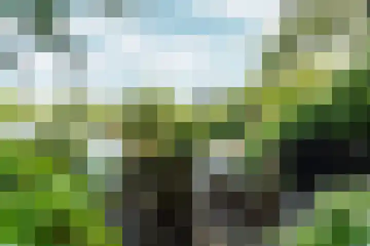 Molenweg 18 Abcoude thumbnail 32