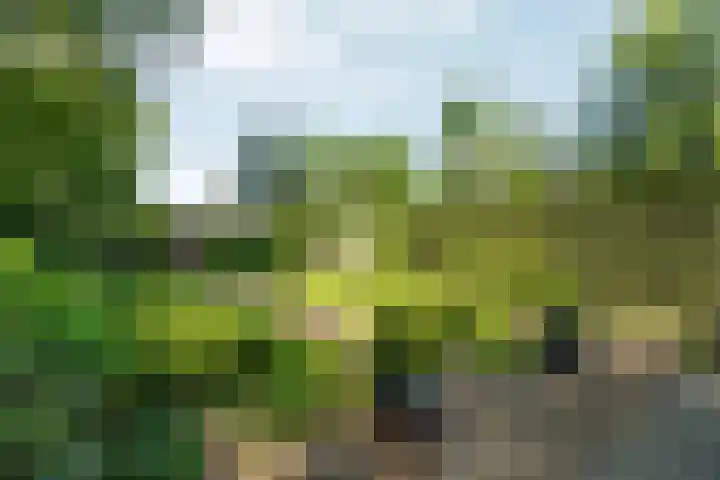 Molenweg 18 Abcoude thumbnail 33
