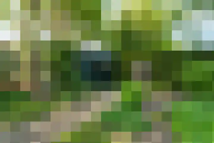 Molenweg 18 Abcoude thumbnail 34