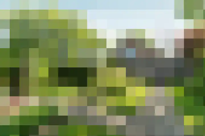 Molenweg 18 Abcoude thumbnail 35