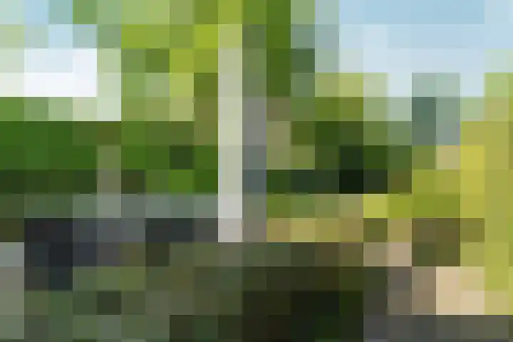 Molenweg 18 Abcoude thumbnail 36