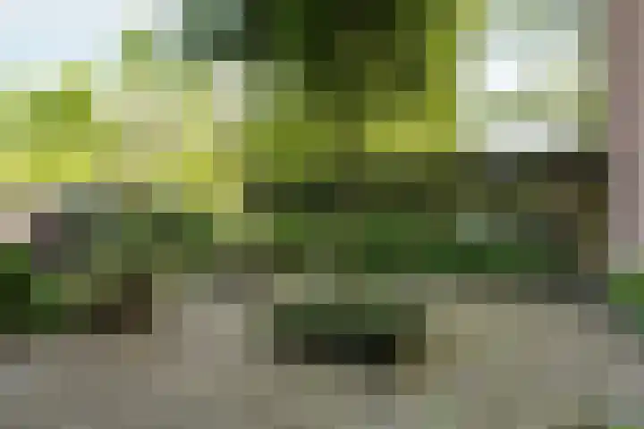 Molenweg 18 Abcoude thumbnail 38